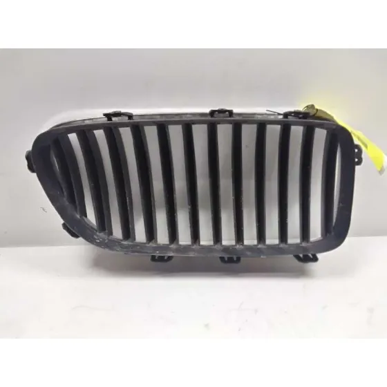Rejilla Delantera para Bmw Serie 5 Lim. (F10)