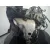 Despiece Motor para Seat Ibiza (6L1)