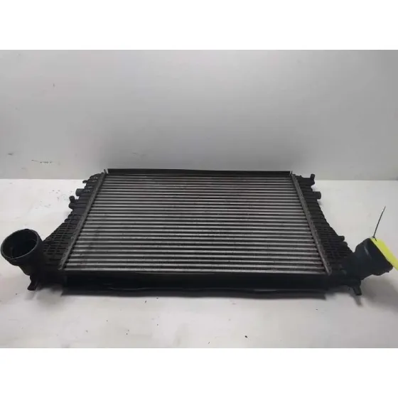 Intercooler para Seat Altea Xl (5P5)