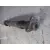 Transmision Central para Bmw Serie 1 Berlina (E81/E87)