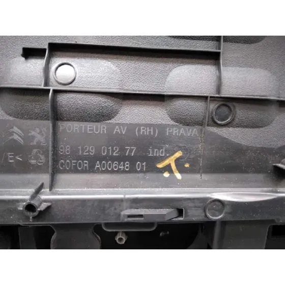 Guarnecido Puerta Delantera Derecha para Citroën C3