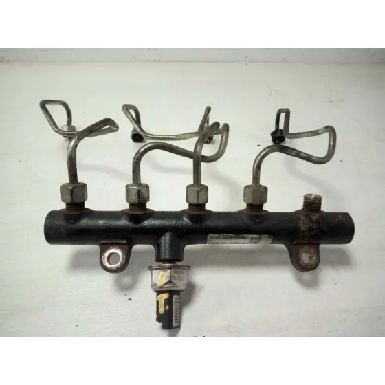 Rampa Inyectora para Peugeot 407