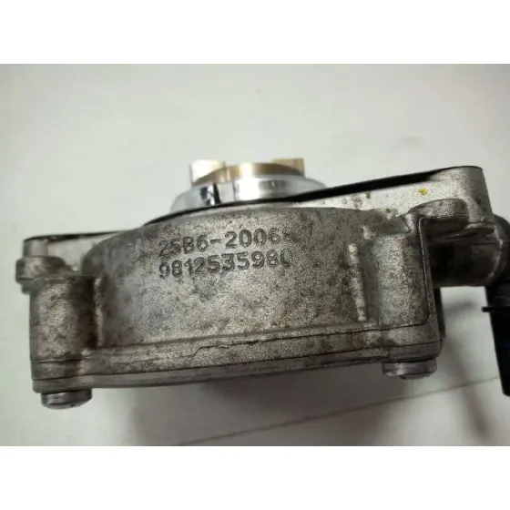 Depresor Freno / Bomba Vacio para Citroën C3 Picasso