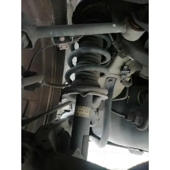 Amortiguador Trasero Izquierdo para Honda Cr-V (Re)