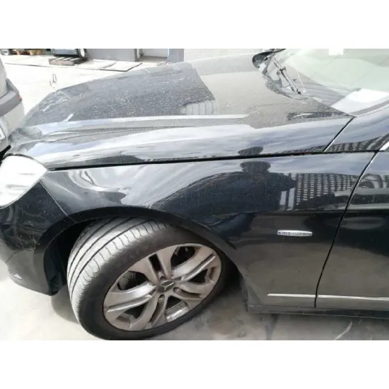 Aleta Delantera Izquierda para Mercedes-Benz Clase E (W212) Lim.