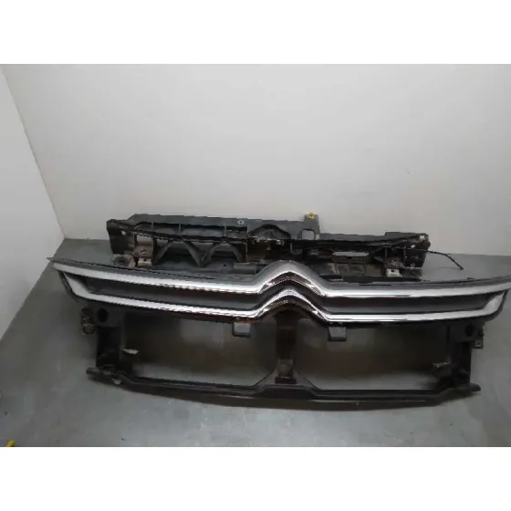 Panel Frontal para Citroën C4 Picasso