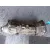 Caja Cambios para Ssangyong Actyon Sports