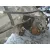 Caja Cambios para Ssangyong Actyon Sports