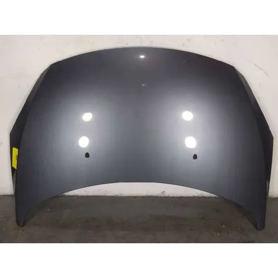Capot para Peugeot 307 Break/Sw (S2)