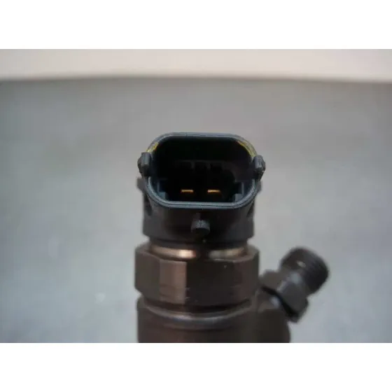 Inyector para Nissan Qashqai (J11)
