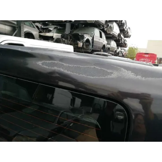 Puerta Trasera Derecha para Renault Trafic Combi (Ab 4.01)