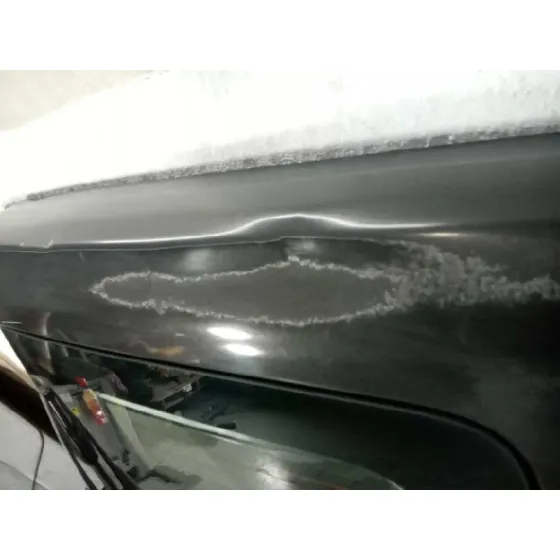 Puerta Trasera Derecha para Renault Trafic Combi (Ab 4.01)