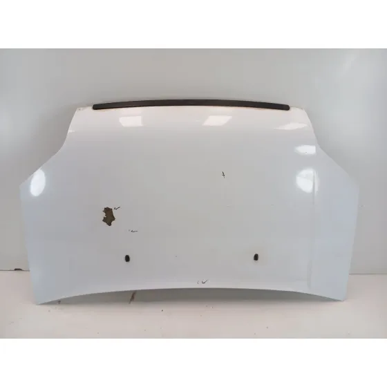 Capot para Ford Transit Connect (Tc7)