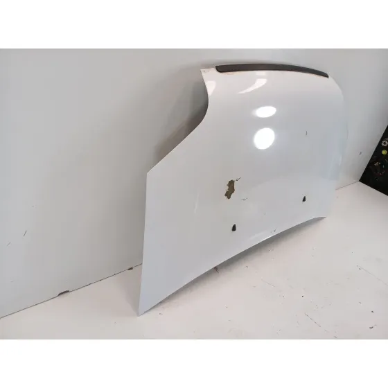 Capot para Ford Transit Connect (Tc7)