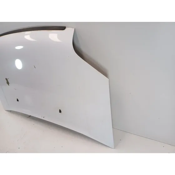 Capot para Ford Transit Connect (Tc7)