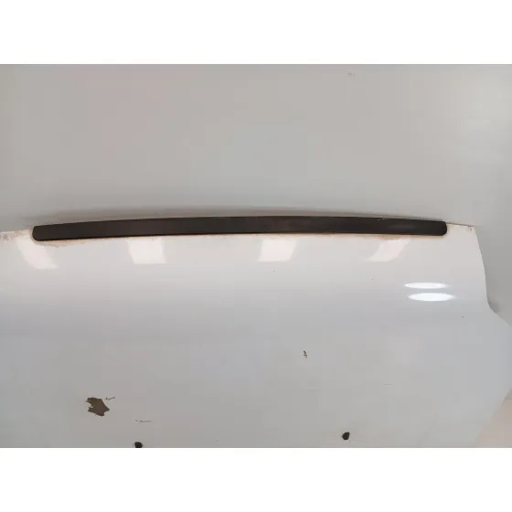 Capot para Ford Transit Connect (Tc7)