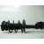 Amortiguador Delantero Derecho para Nissan Nv 400