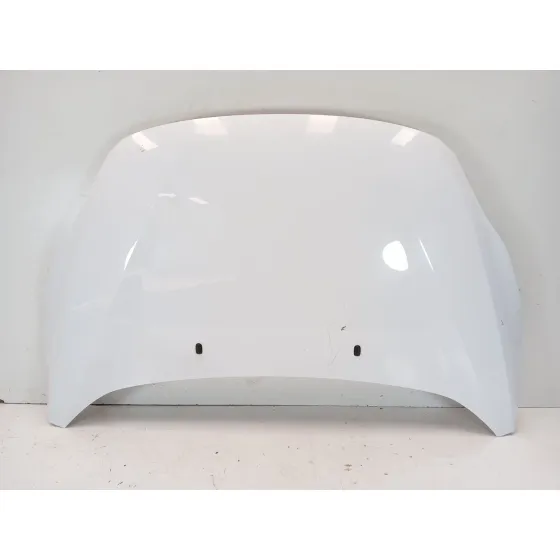 Capot para Ford C-Max