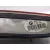 Piloto Trasero Izquierdo Interior para Bmw Serie 7 (E65/E66)