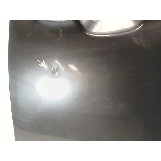 Puerta Delantera Derecha para Ssangyong Korando