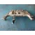 Puente Delantero para Volkswagen Passat Lim. (362)