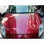 Capot para Fiat Bravo (198)