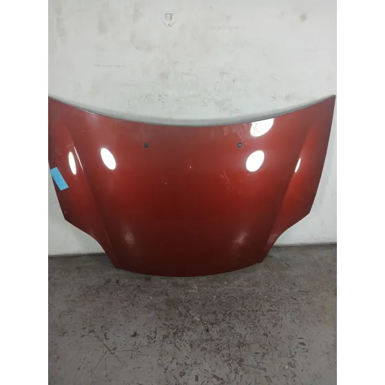 Capot para Fiat Bravo (198)