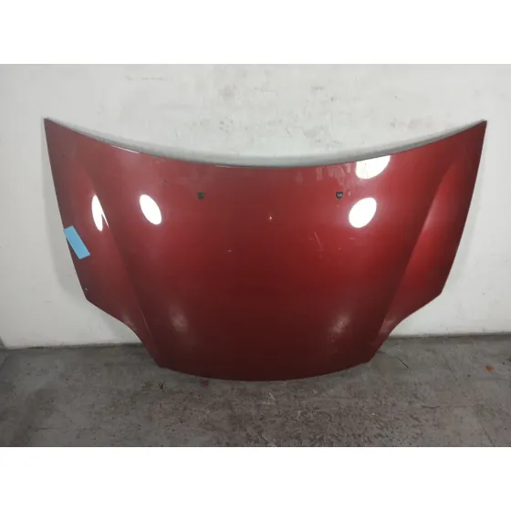 Capot para Fiat Bravo (198)