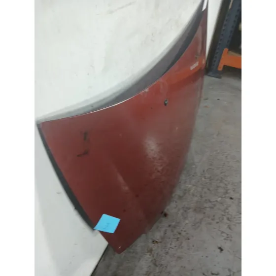 Capot para Fiat Bravo (198)