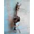 Diferencial Delantero para Nissan Patrol (K/W260)