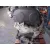 Despiece Motor para Seat Leon (1P1)