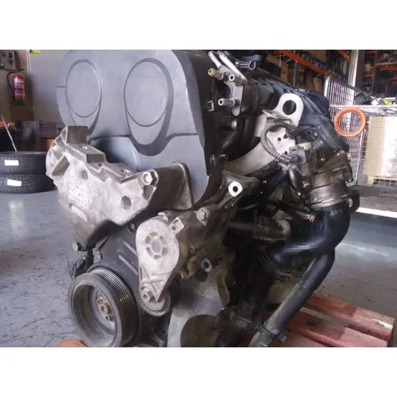 Despiece Motor para Seat Leon (1P1)