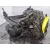 Caja Cambios para Renault Megane Ii Classic Berlina