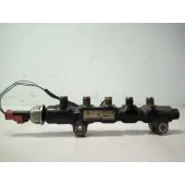 Rampa Inyectora para Citroën C3