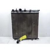 Radiador Agua para Peugeot 207
