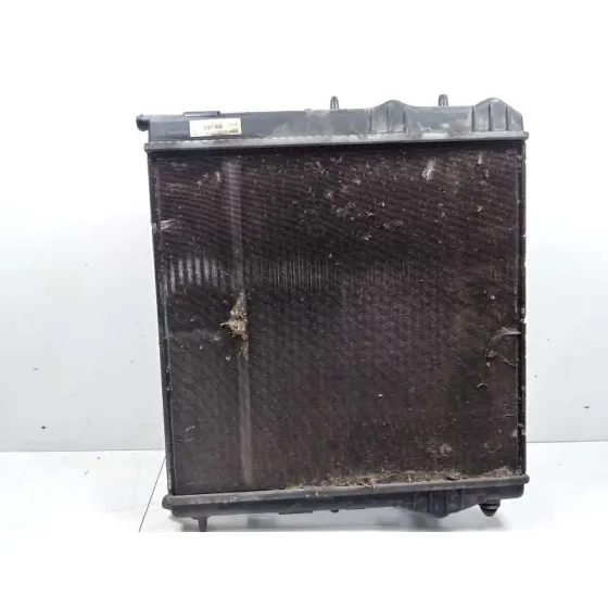 Radiador Agua para Peugeot 207
