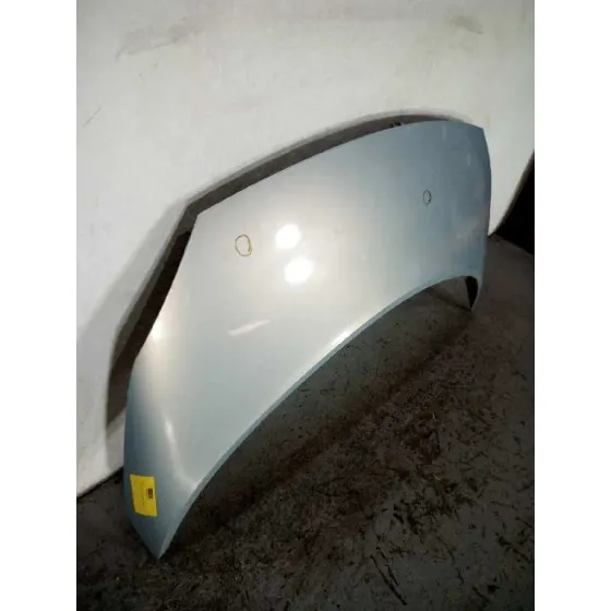 Capot para Renault Scenic Ii