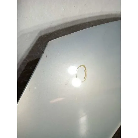 Capot para Renault Scenic Ii