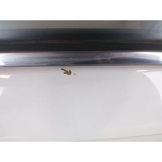 Puerta Delantera Derecha para Citroën C3