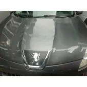 Capot para Peugeot 4007