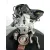 Motor Completo para Renault Twingo
