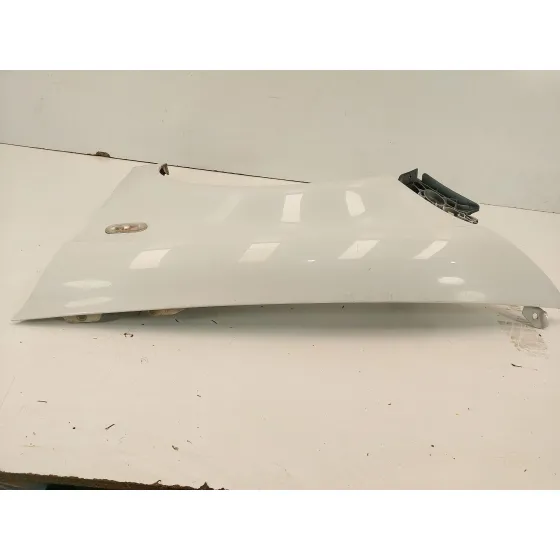 Aleta Delantera Izquierda para Seat Altea Xl (5P5)