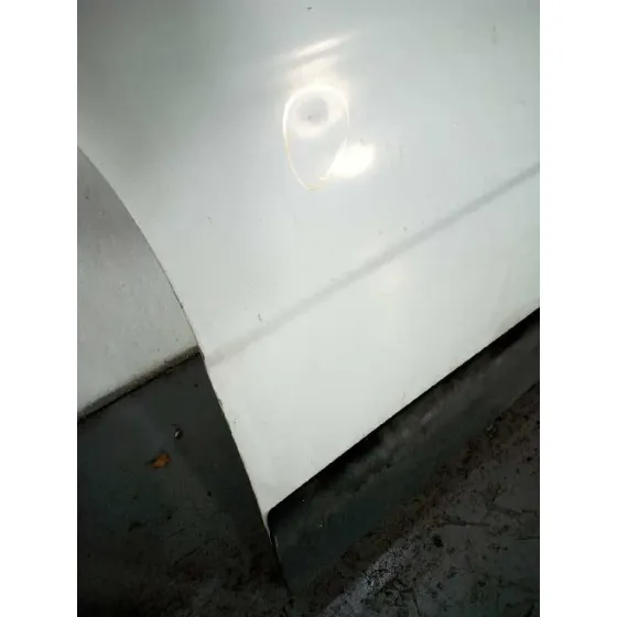 Puerta Delantera Derecha para Renault Trafic Caja Cerrada (Ab 4.01)