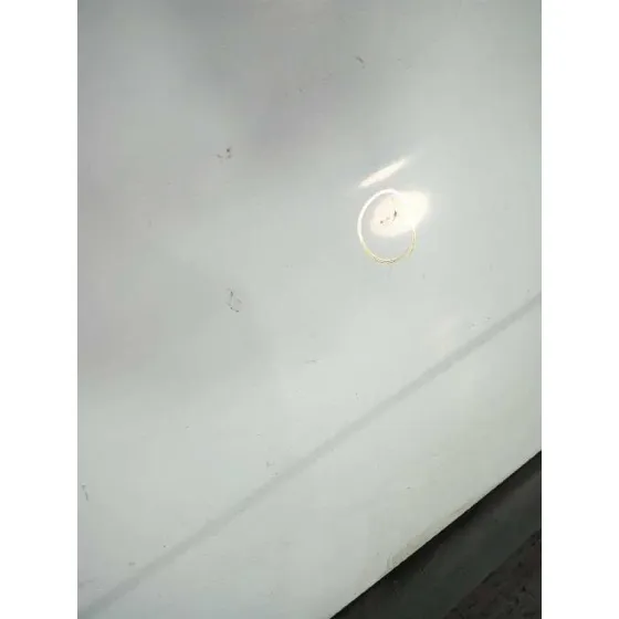 Puerta Delantera Derecha para Renault Trafic Caja Cerrada (Ab 4.01)