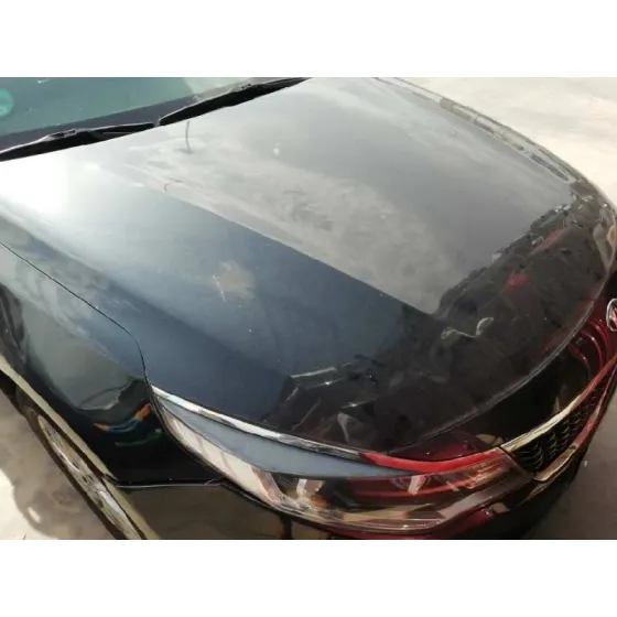 Capot para Kia Optima