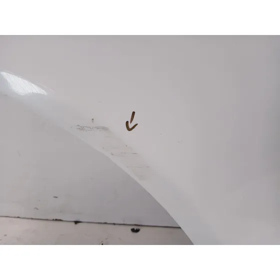 Puerta Delantera Derecha para Hyundai Santa Fe (Bm)