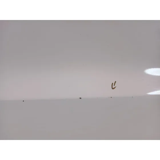 Puerta Delantera Derecha para Hyundai Santa Fe (Bm)