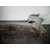 Paragolpes Trasero para Ford Focus Lim. (Cb8)