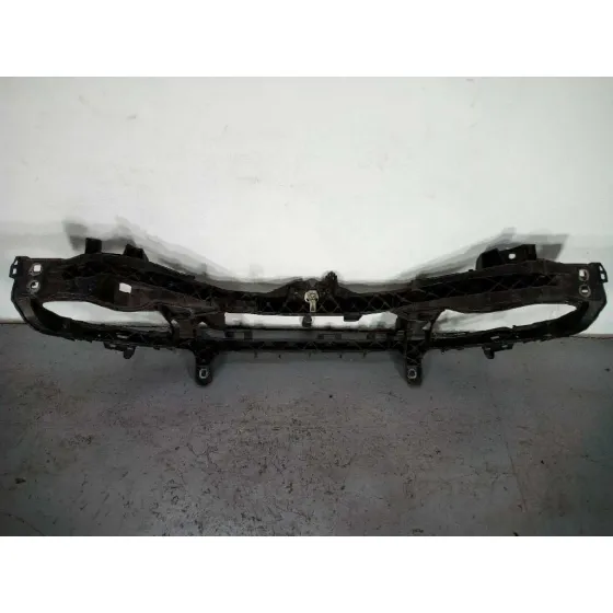 Panel Frontal para Ford Focus C-Max (Cap)