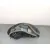 Piloto Trasero Derecho para Jaguar X-Type